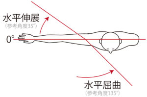 水平内転図